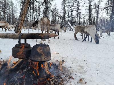 Автоэкспедиция Sakha Arctic Expedition. Верхоянск-Томпо. Тополиный