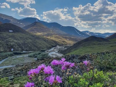 Спуск с перевала вдоль речки Амкынья, 7 км