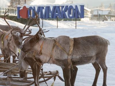 Туры в Оймякон Магадан