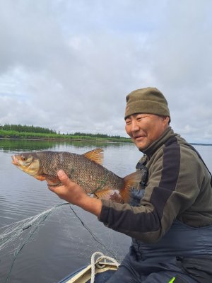 Рыбалка на Лене в районе устья реки Вилюй.  Трофейная рыбалка (щука, ленский осетр) с проживанием в турбазе.