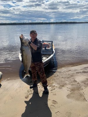 Рыбалка на Лене в районе устья реки Вилюй.  Трофейная рыбалка (щука, ленский осетр) с проживанием в турбазе.