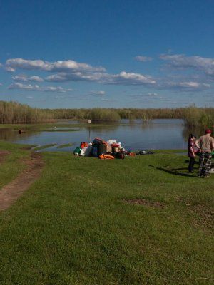 Луковый сплав